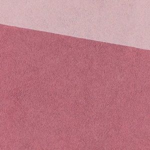 Meet your Posher, Coco